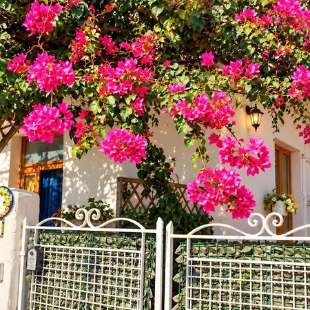 Casa Aurora - Only Two Steps To Access Appartamento *